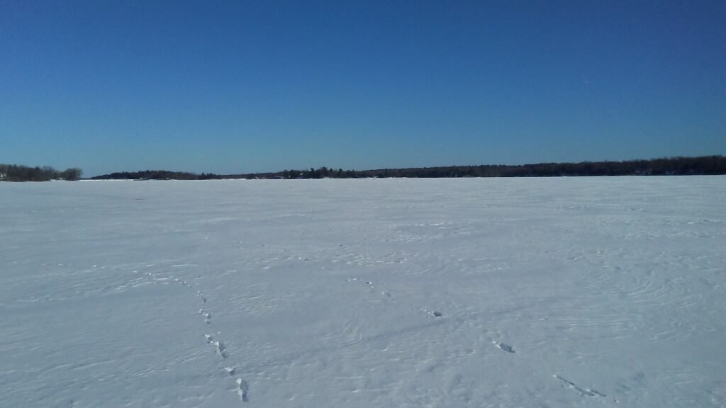 Snow-covered frozen Black Lake under a blue sky with footprints trailing across the ice.