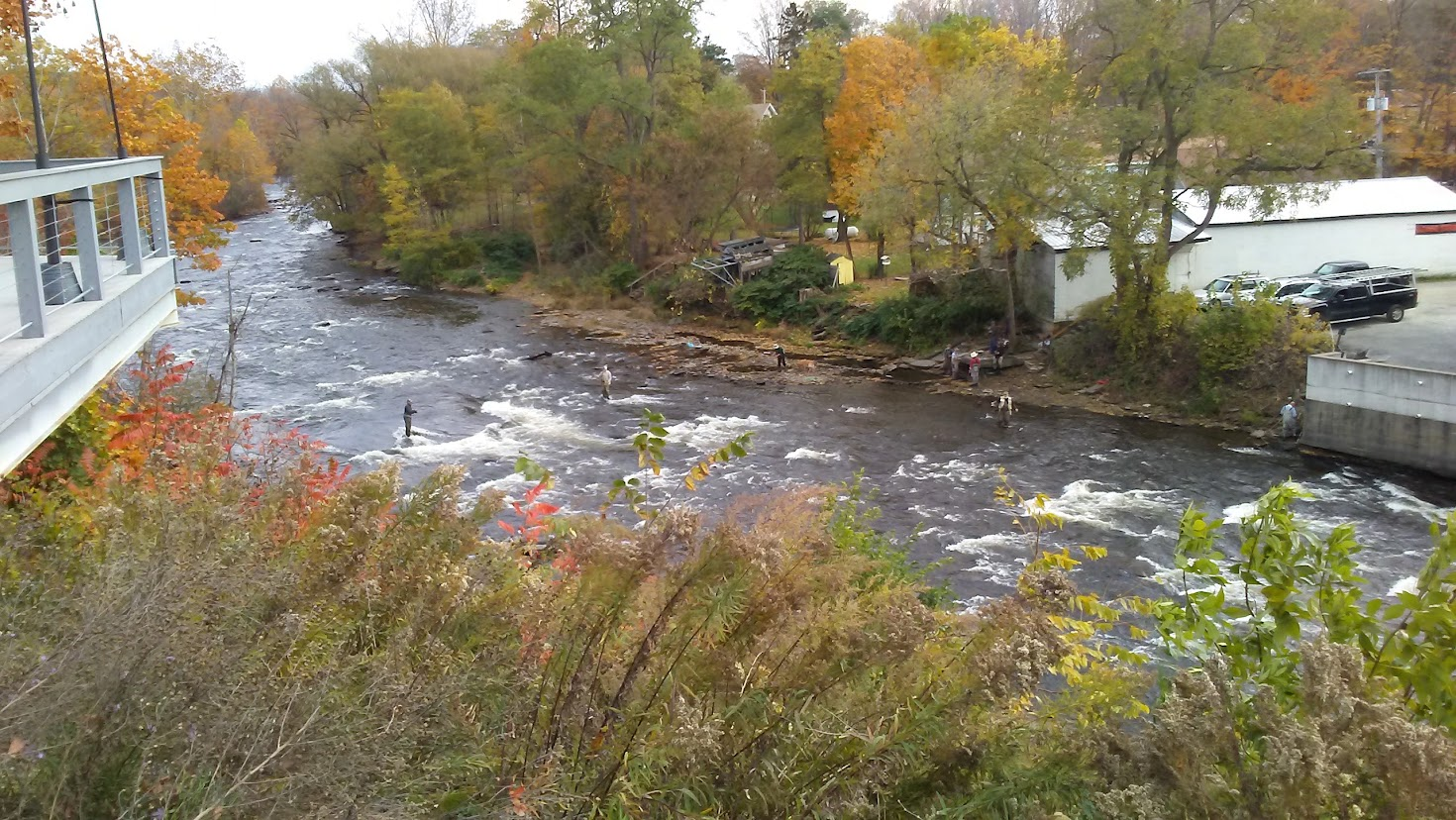 Anglers fishing the Salmon River in Pulaski, NY during the fall king salmon run
