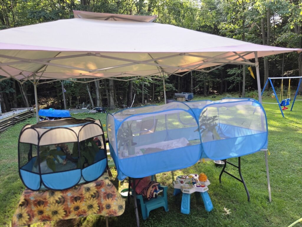 Three mesh enclosures of different sizes under a canopy in a yard